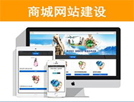 商城網(wǎng)站建設有哪些功能？