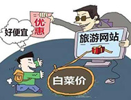 農村旅游網(wǎng)站建設及用戶(hù)體驗度的提高？