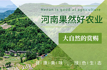 農業(yè)網(wǎng)站開(kāi)發(fā)